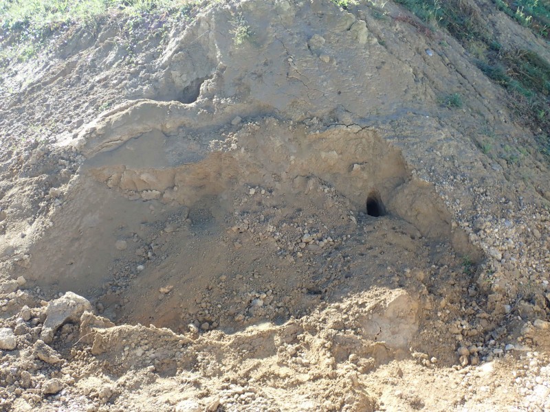 Erde kaufen Laufen Humus kaufen Laufen Sand kaufen Laufen Löss kaufen Laufen Kies kaufen Laufen